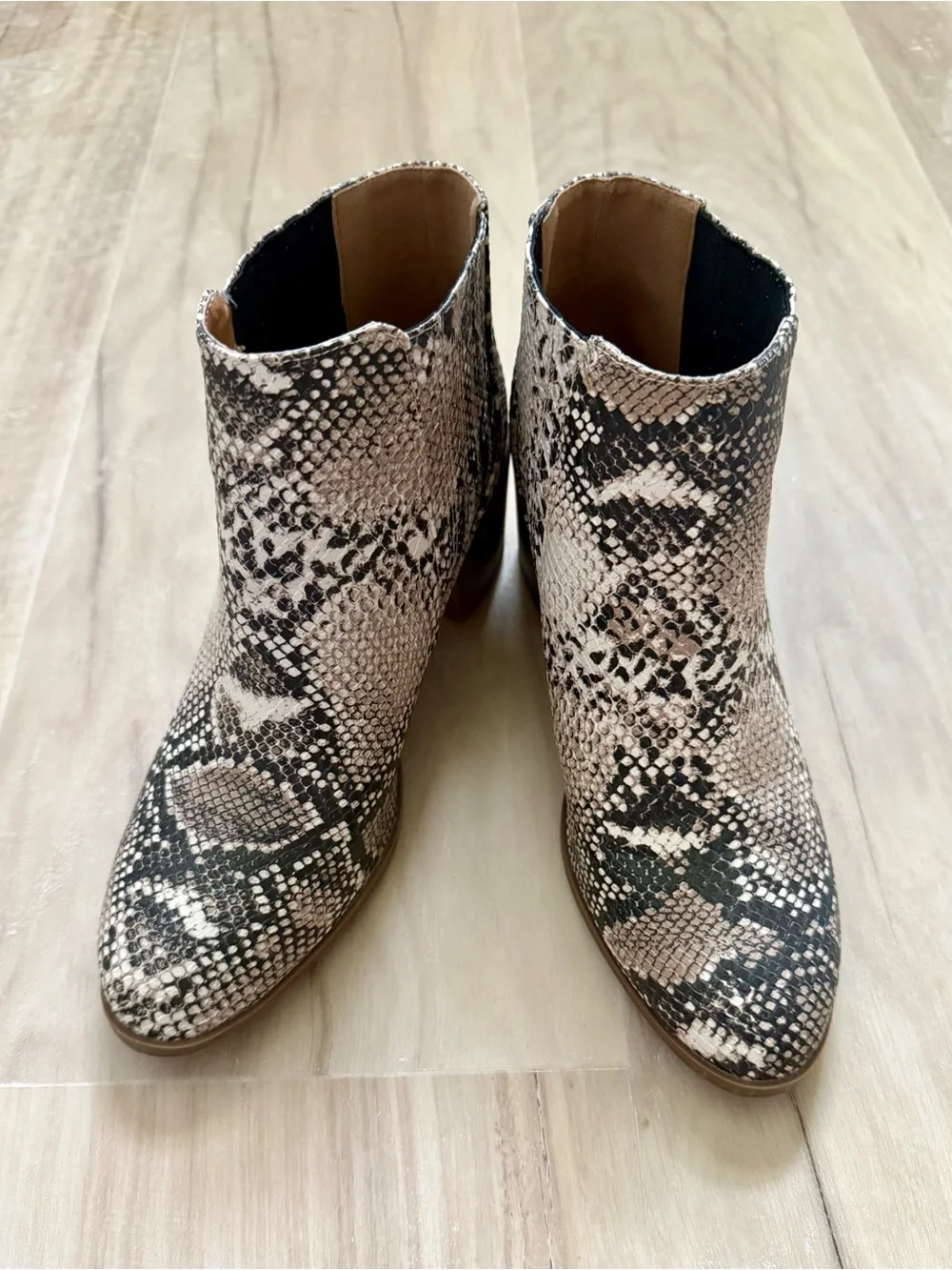 Maurices textured snake